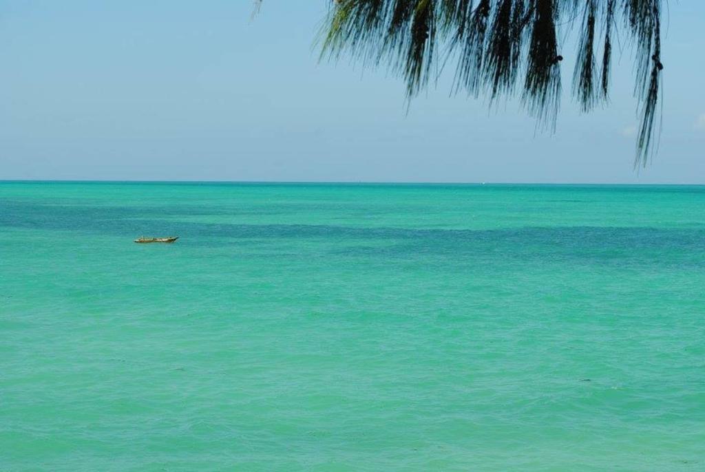 Villa Sunshine Jambiani (Zanzibar) Exterior foto