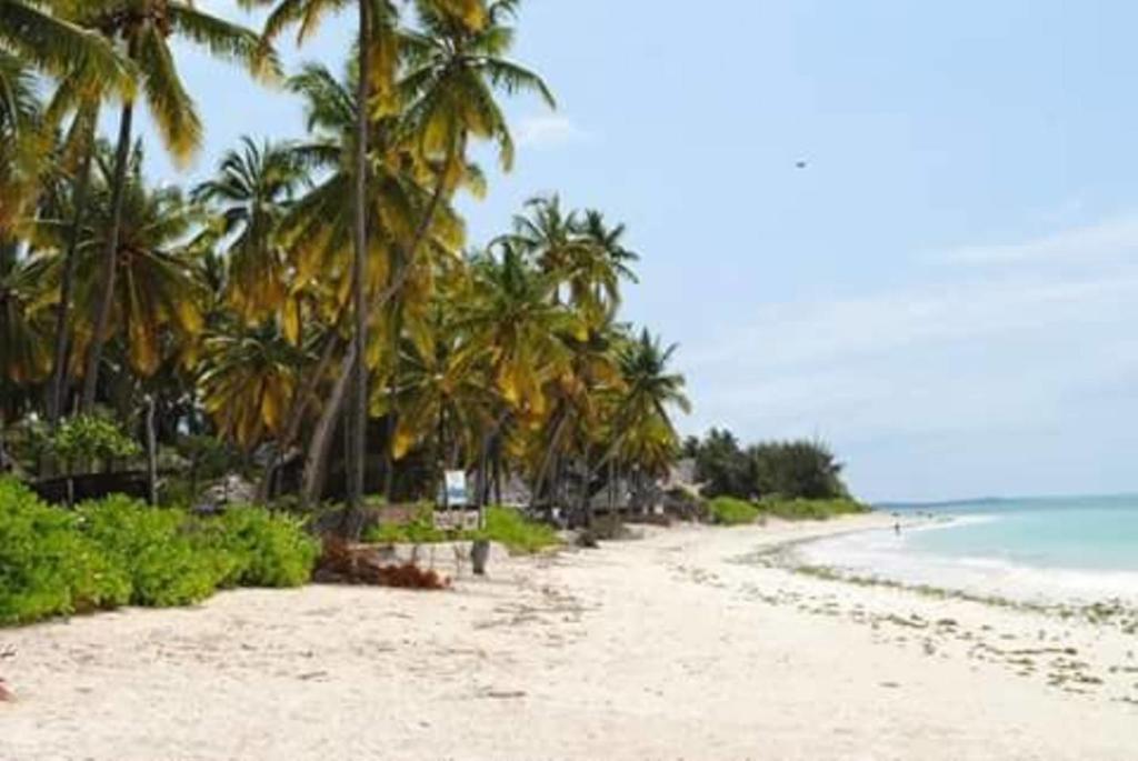 Villa Sunshine Jambiani (Zanzibar) Exterior foto