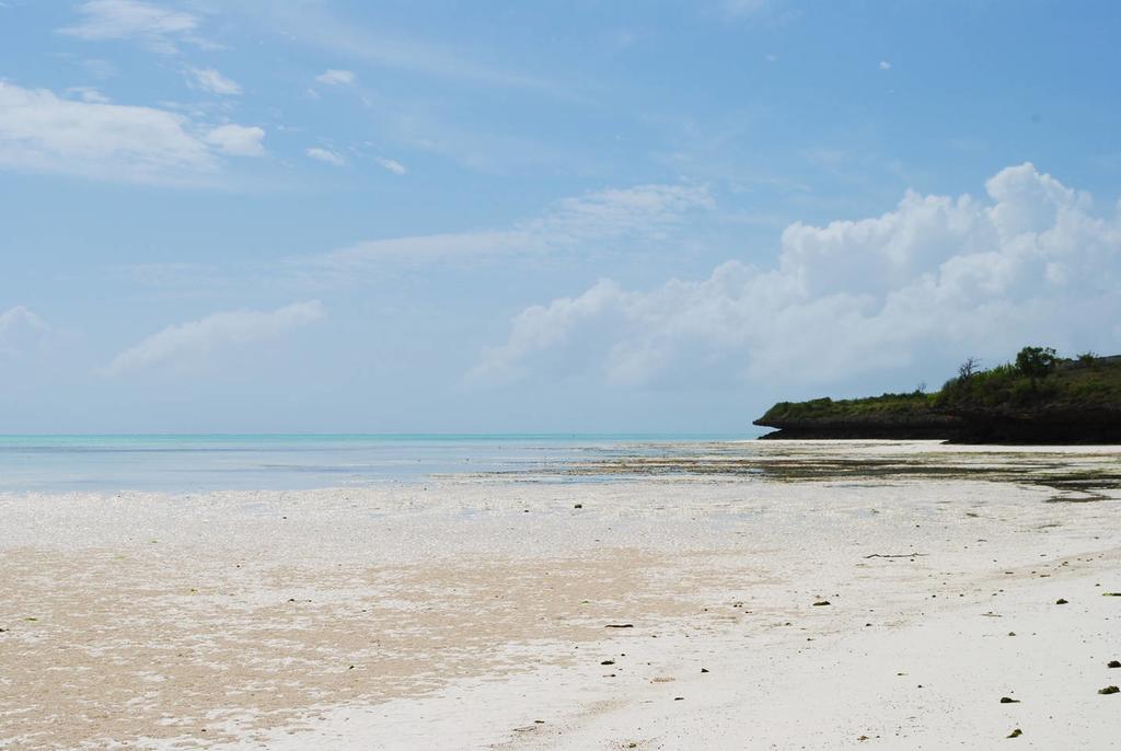 Villa Sunshine Jambiani (Zanzibar) Exterior foto